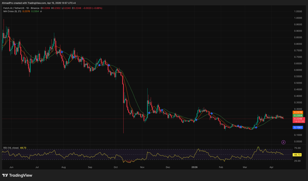 Crypto Whales Have Acquired 100 Million FET Tokens: What Is Causing the Price Decline?0