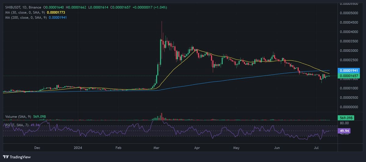 Cryptocurrency Specialist Predicts Rise in Meme Coins: Are Shiba Inu and Dogecoin Set to Reach New Peaks?1