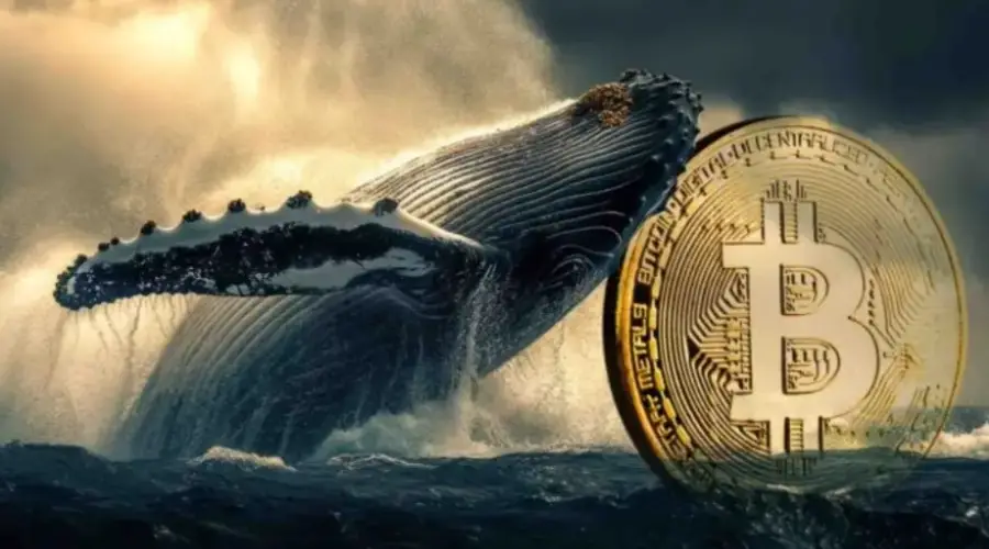 Аналитики CryptoQuant: Биткоин-киты меняют поведение0