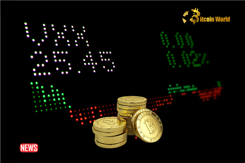 Direct Purchase of BTC Compared to Acquiring Spot Bitcoin ETF – Investment Options0