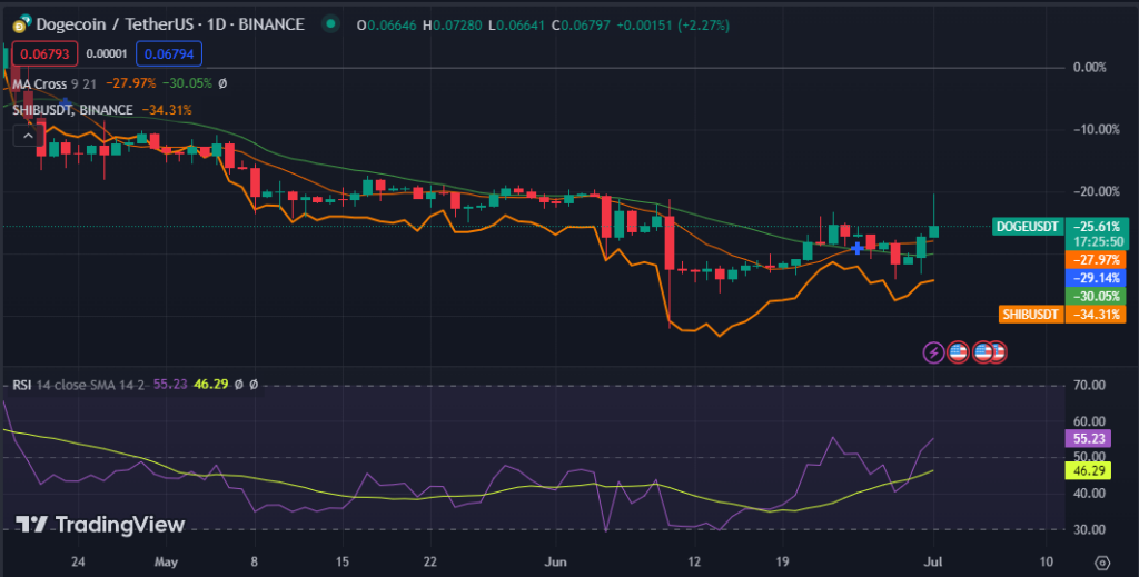 Dogecoin Surges Ahead of Competitor Shiba Inu with Notable 25% Increase2