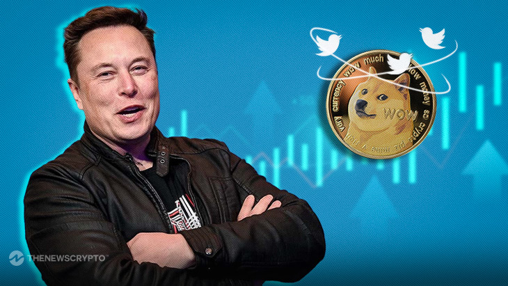 Elon Musk's Tweet Regarding Doge Triggers a Brief Price Surge0