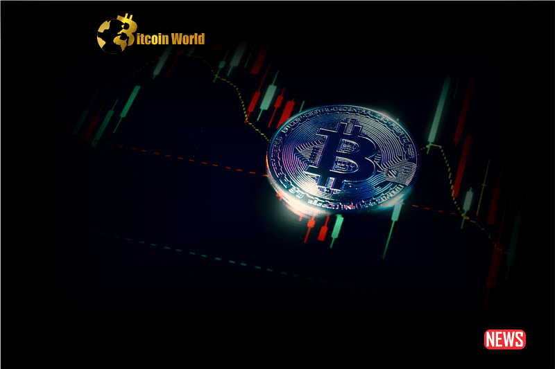 Exploring Bitcoin's Intricate Terrain: Death Cross, Large Holder Movements, and Market Indicators0