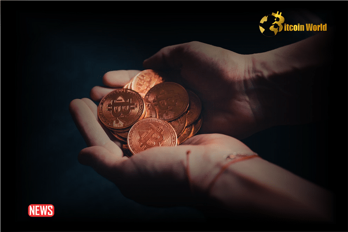 Glassnode: Short-term Bitcoin Investors Are Increasing Activity on Crypto Exchanges as BTC Rises0