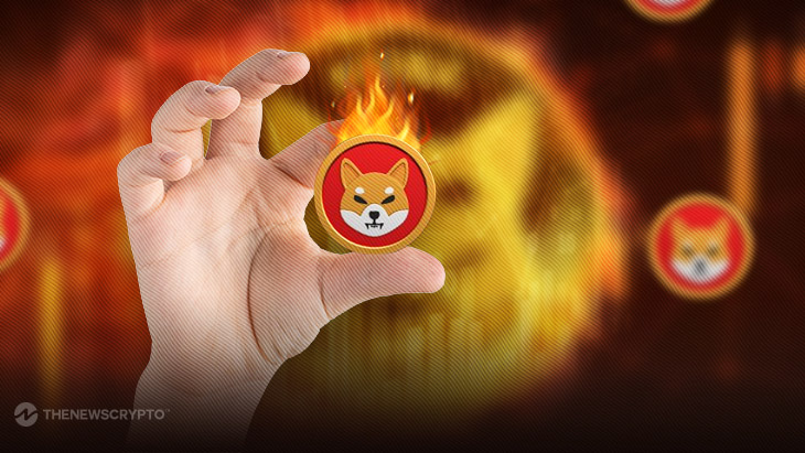 Inactive SHIB Wallet Activates, Enabling the Incineration of 113 Million Shiba Inu0