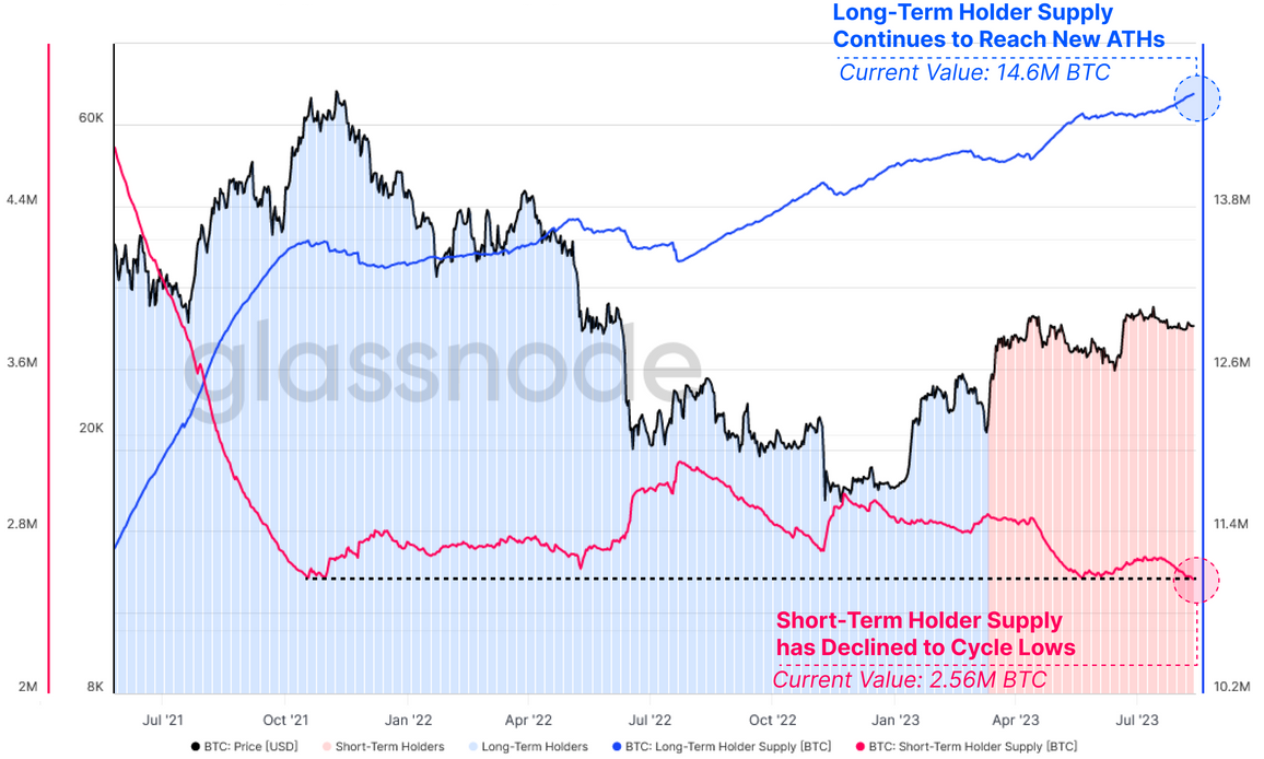 Is the significant drop in Bitcoin's volatility and the decrease in short-term holders indicative of a bullish market trend?2