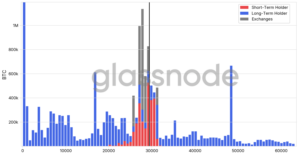 Is the significant drop in Bitcoin's volatility and the decrease in short-term holders indicative of a bullish market trend?1