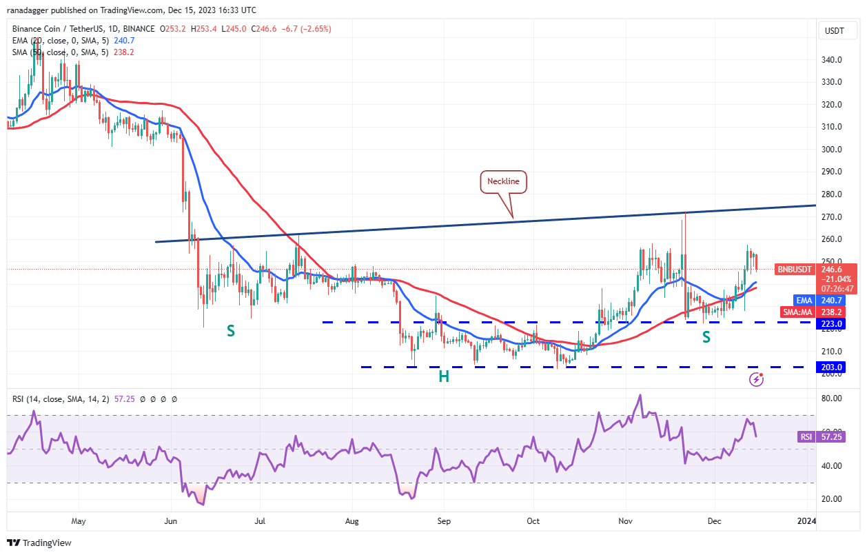 Market Overview 12/15: BTC, ETH, BNB, XRP, SOL, ADA, DOGE, AVAX, DOT, MATIC Prices3