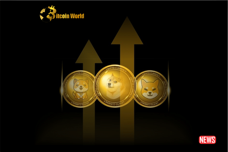 Memecoins Rise as Bitcoin Experiences a Drop: Insights and Analysis from Santiment0