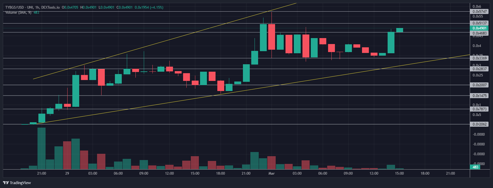 MIA, BINU, TYGBS, XJOBS Coins Experience Immediate 20,000% Increase as Analysts Identify Potential Leading Cryptocurrency2