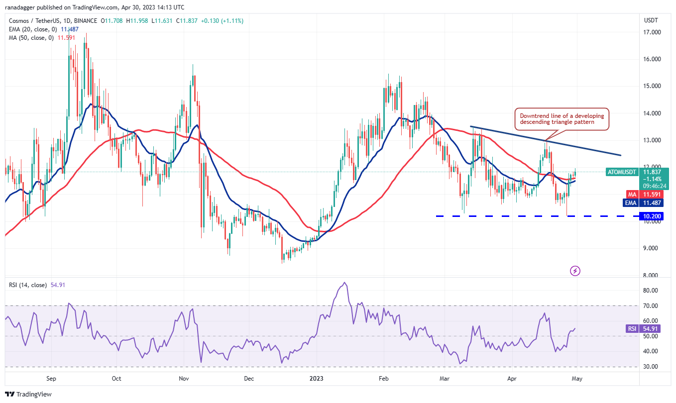 Only Bitcoin or broaden your portfolio? Five cryptocurrencies to monitor in the upcoming days.5
