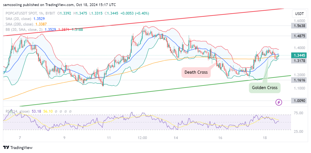 Popcat Investors Are Subtly Shifting Capital to This Lesser-Known Cryptocurrency – Is a Surge Likely Following Exchange Listings?1