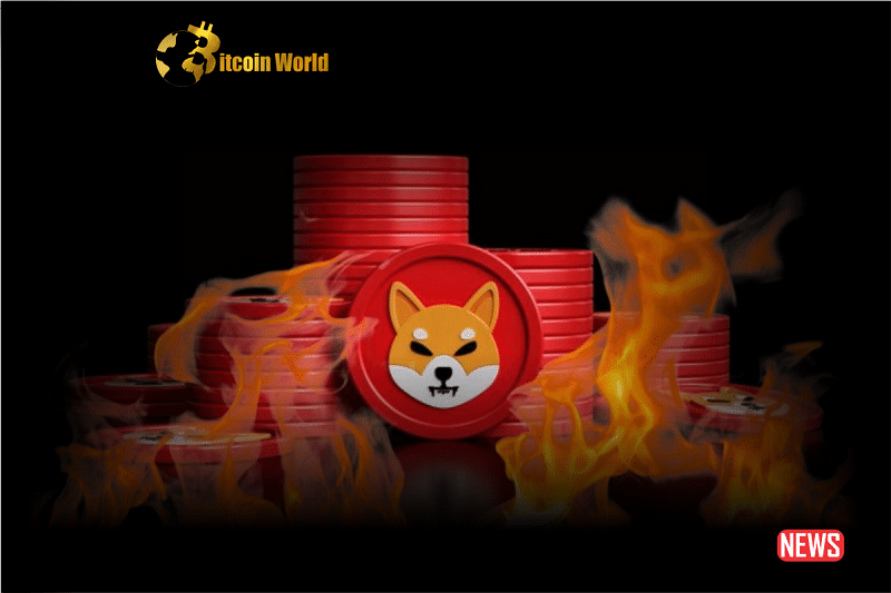 Shiba Inu Burn Rate Increases: New Investors Appear Following BONE Updates0