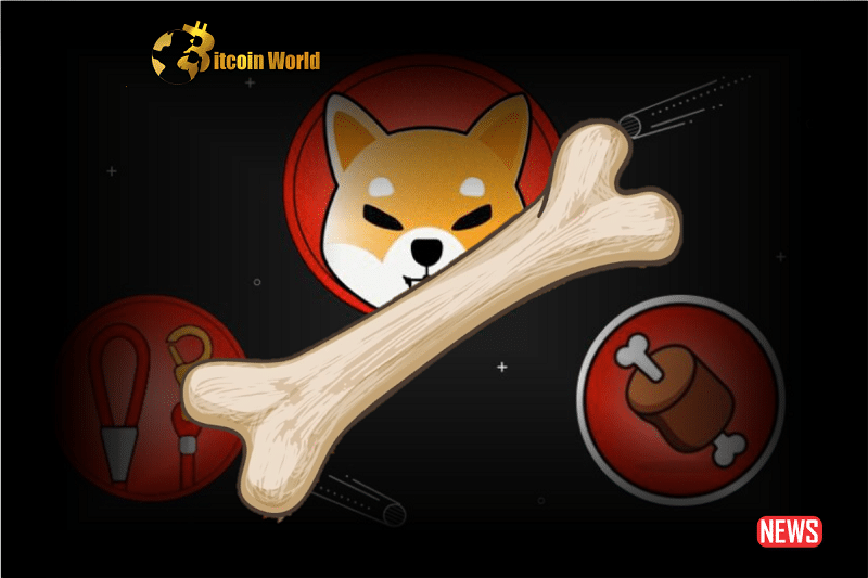 Shiba Inu's Shibarium Generates Increased Activity: BONE Holders Benefit from L2 Blockchain Interest0