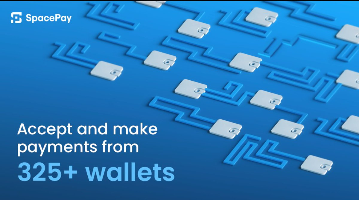 SpacePay's Progress: Utilizing Everyday Transactions with 0.5% Fees – The Next Major Cryptocurrency?0