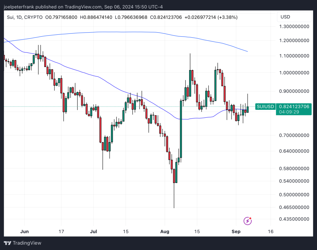 Top Cryptocurrencies to Consider Purchasing on September 6 – Sui, Helium, Dogs2