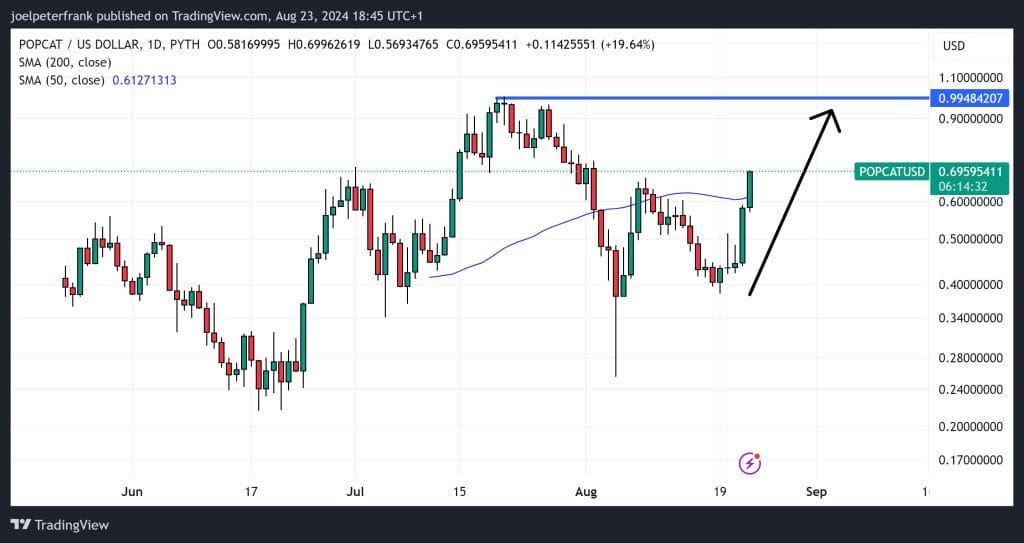 Top Cryptocurrency Performers on August 23 – Bittensor, Avalanche, Core2