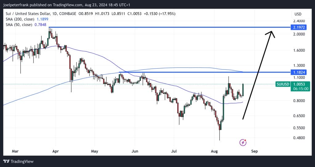 Top Cryptocurrency Performers on August 23 – Bittensor, Avalanche, Core1
