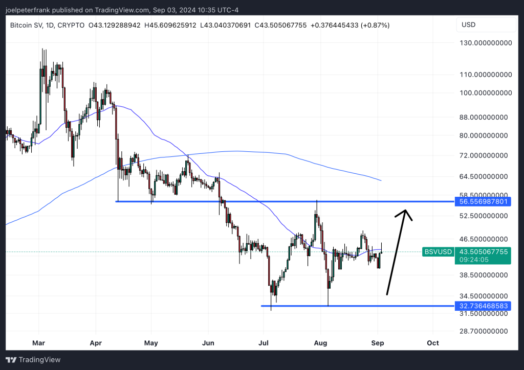 Top Cryptocurrency Performers on September 3 – MANTRA, BSV, dogwifhat2
