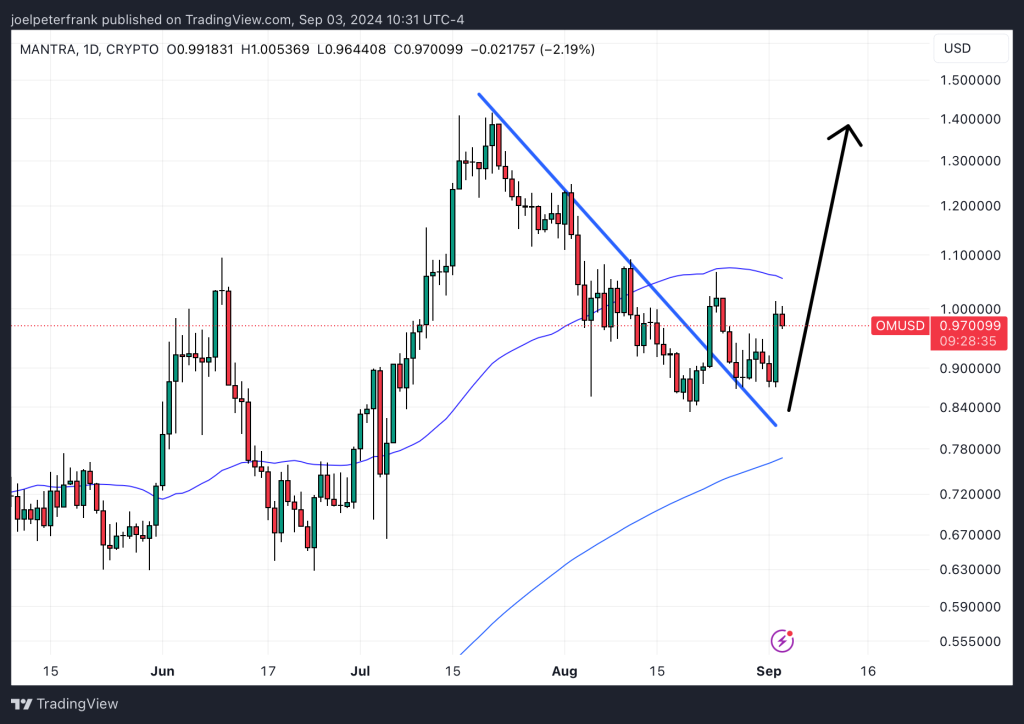 Top Cryptocurrency Performers on September 3 – MANTRA, BSV, dogwifhat1