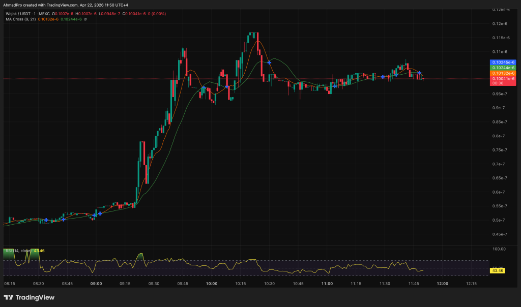WOJAK Cryptocurrency Meme Token Surges 87% as MAXI Aims for $5 Million: Analyst Identifies Clear Trade Opportunity for 20260