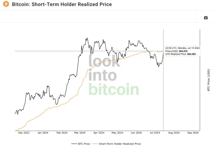 Bitcoin Value Declines by 3% Following Withdrawal of 100,000 BTC from Mt. Gox Cold Wallet3