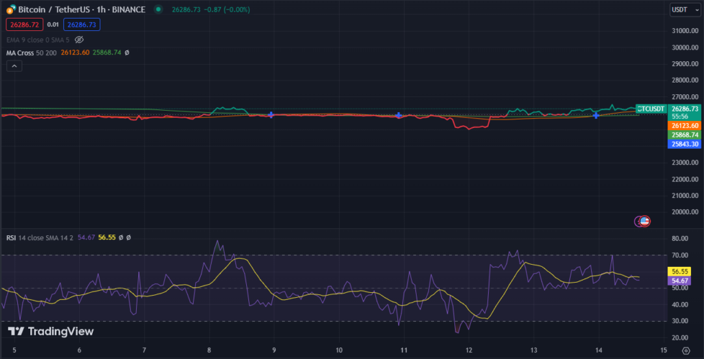 Bitcoin Value Increase: Is $30,000 Achievable with Escalating Inflation?1