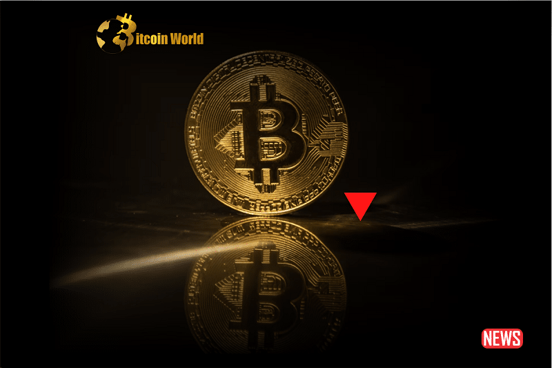 Bitcoin Value Remains Under $30,000 Due to Market Instability0