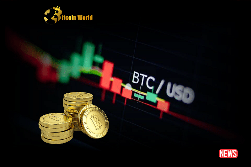 Bitcoin's Decline to $30,000 Expected to be a Temporary Adjustment, Market Indicators Stay Positive.0