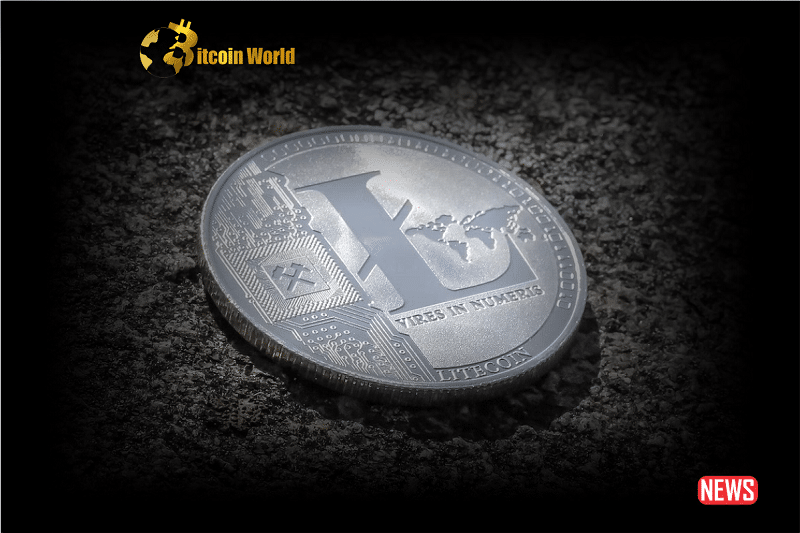 Evaluating Litecoin's Future and Accessibility: An In-Depth Examination of Important Price Objectives0