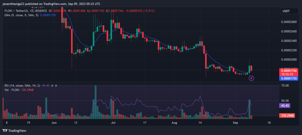 Floki Exponential Achieves 13% Increase, Capturing Attention1