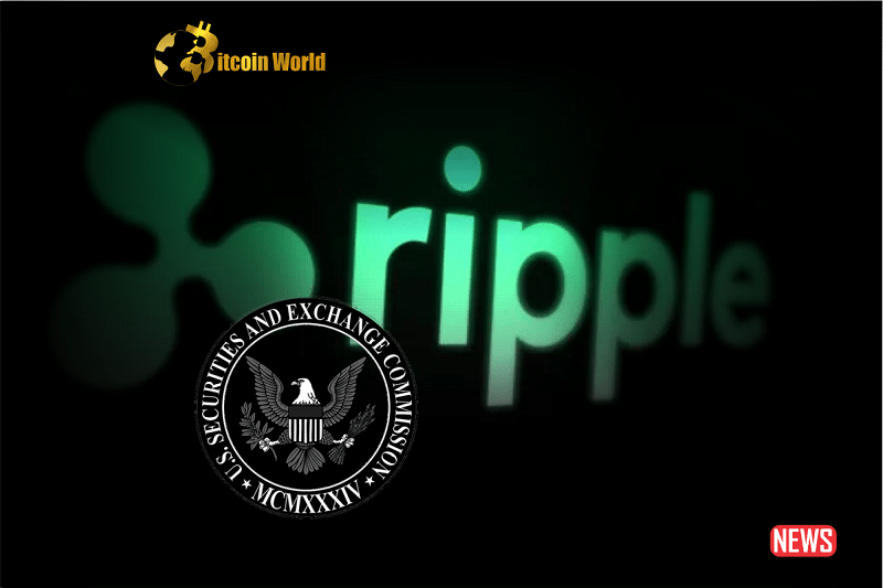 Former SEC Official Calls Ripple Decision 'Concerning on Various Levels'0