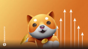 Baby Doge Coin Responds on Why Ethereum Over BNB Chain0