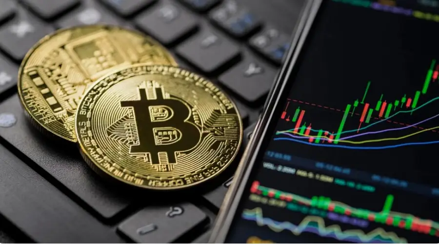 Reason for Bitcoin's Price Growth Halt Identified