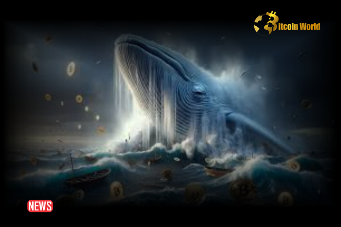 Ancient Bitcoin Whale Awakens After 12 Years, Moves 1,000 BTC
