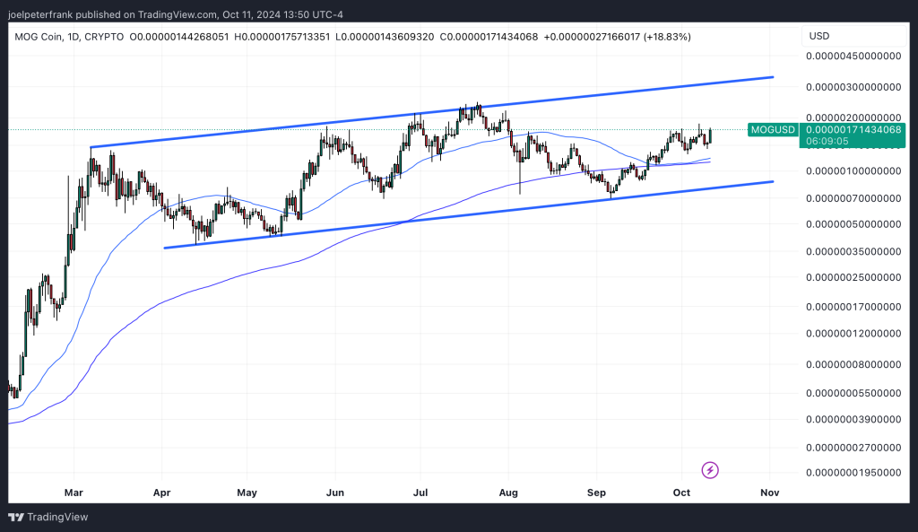 Best Crypto to Buy Now October 11 – Ethena, Mog Coin, Dogwifhat