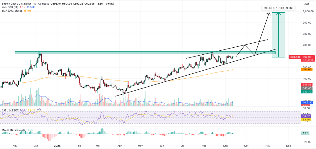 Bitcoin Cash Price Prediction: Grayscale Updates ETF Filing – Is BCH the Next Sleeper to Explode?5