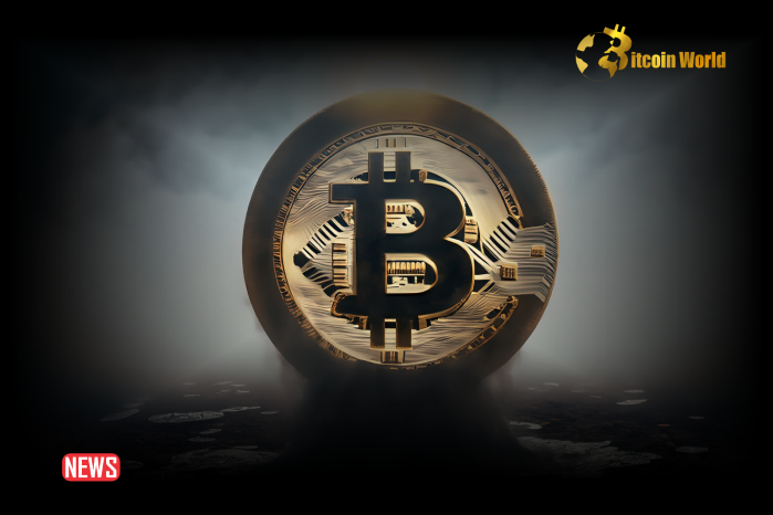 Crypto Mixer Founder Roman Sterlingov Appeals 30-Year Money Laundering Prison Sentence0