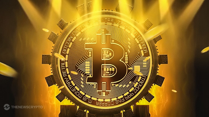 Whale Bitcoin Address Activated After 11 Years as BTC Stays Below 30K!0