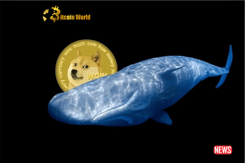 Whales Suddenly Move Over 776M Dogecoin Following DOGE Bounce – Here's Where the Crypto Is Headed0
