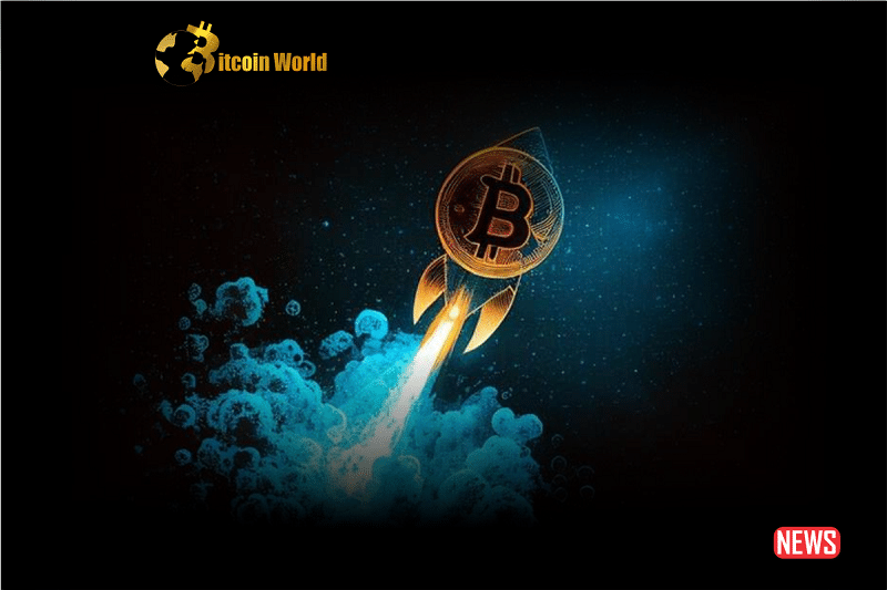 Bitcoin ($BTC) Price Could Hit $100,000 After Halving; VP Predicts