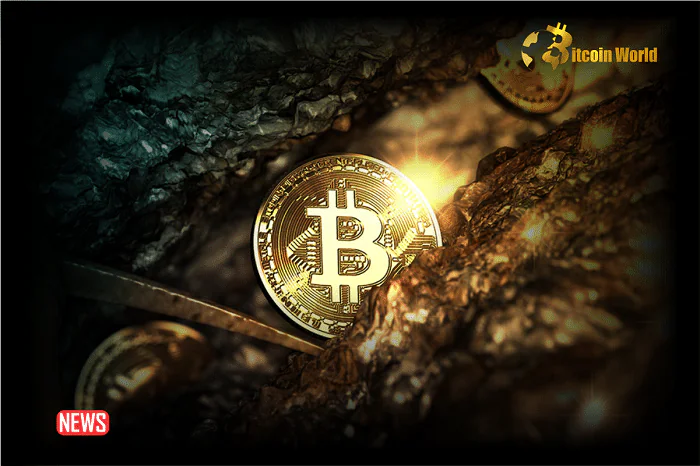 Bitcoin Miner Revenue Reaches All-Time Highs