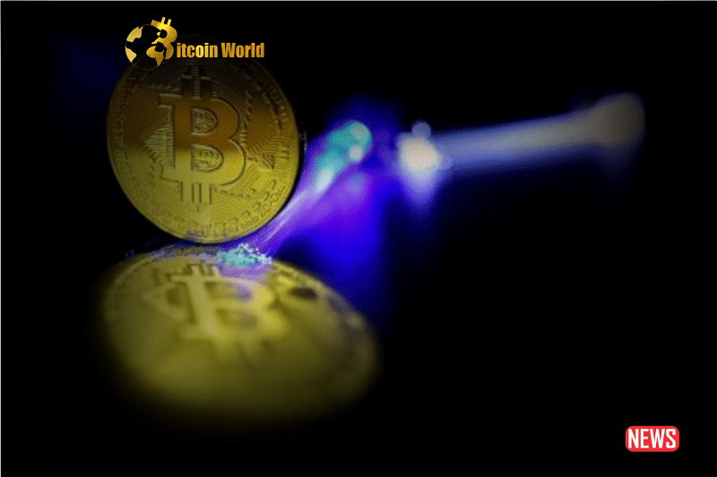 Bitcoin Wallet Activity Soars Amid Price Lull: What's Behind the Paradox?