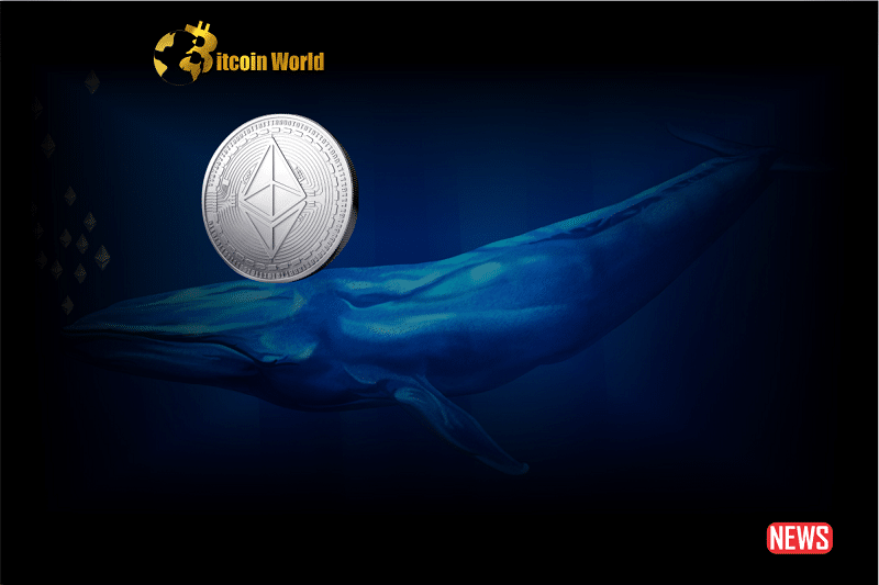 Ethereum Whales Transfer $140 Million of ETH to Leading Exchanges