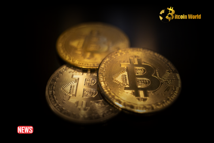 New Bitcoin Investors Are In Severe Stress – Bitfinex0