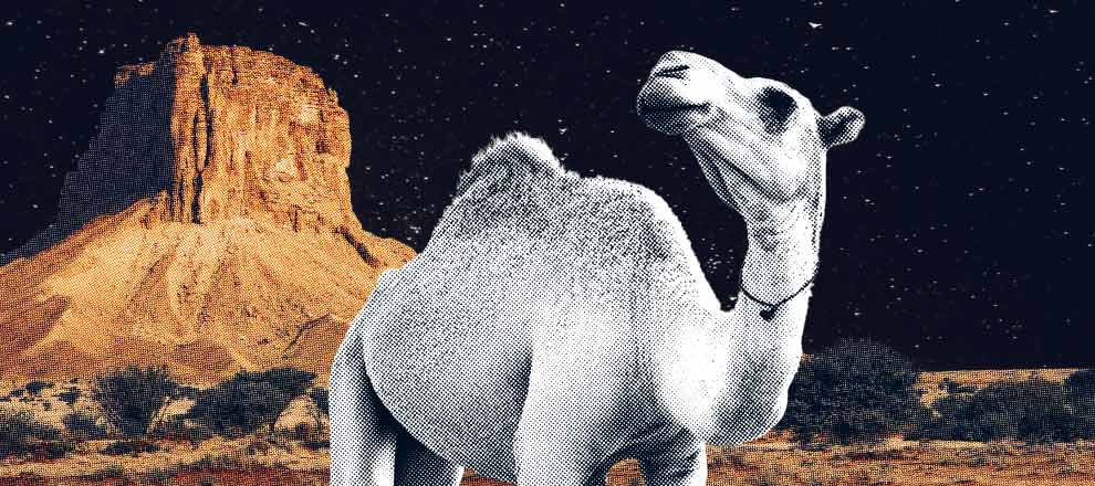 Saudi Arabia Launched Metaverse to Explore Country’s History and Culture
