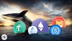 Smart Money Moves: Whales Boosting Buying Power with Stablecoin Accumulation0