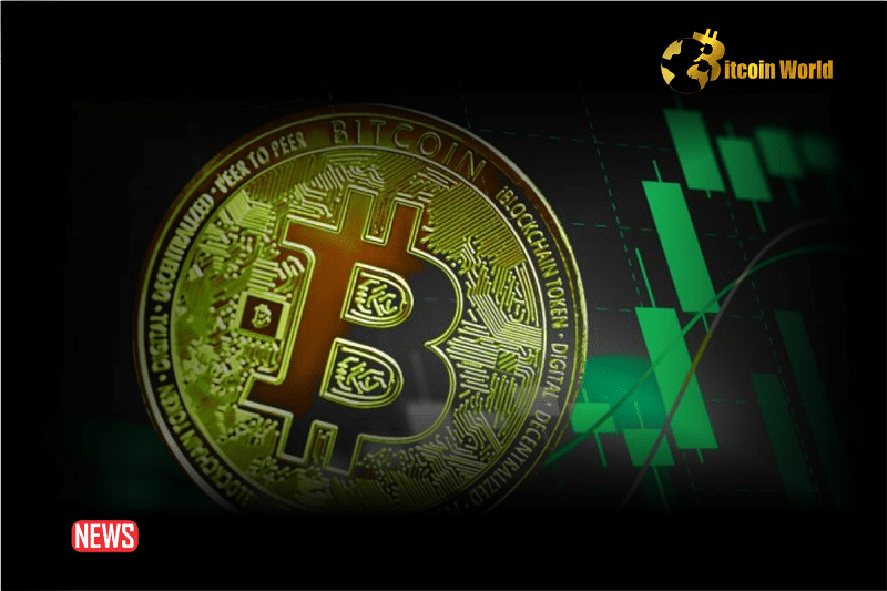 Bitcoin Accumulation Wallets Reach $68 Billion with 1.7 Million BTC as Price Exceeds $42,0000