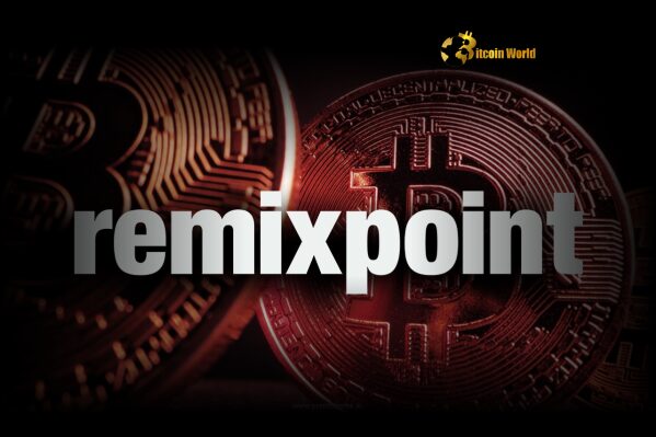 Bitcoin: Japanese Company Remixpoint Executes $4.7M Purchase0